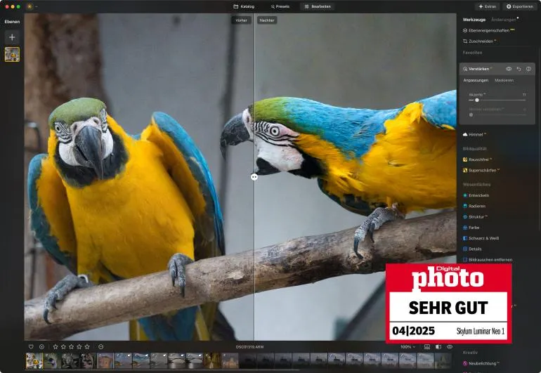 Luminar Neo verfügt über eine Fülle intelligenter Korrekturfunktionen, die die Bildbearbeitung vereinfachen und beschleunigen.