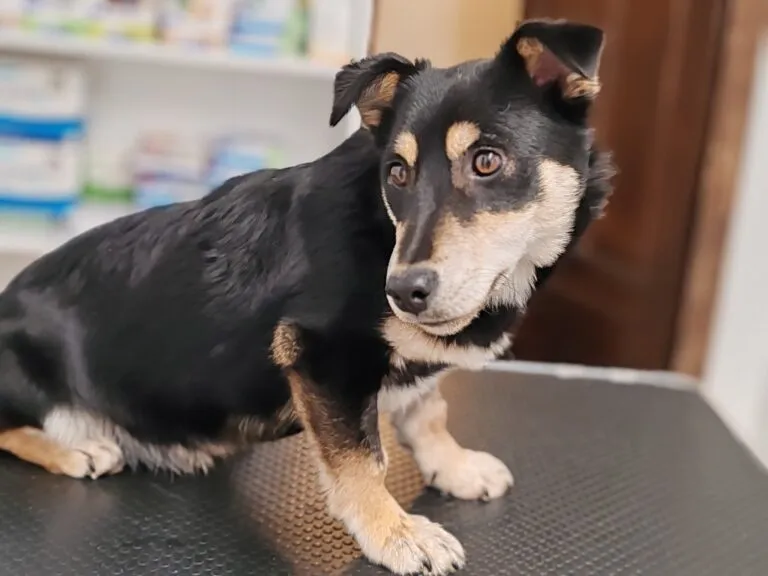 Maddie in Düsseldorf