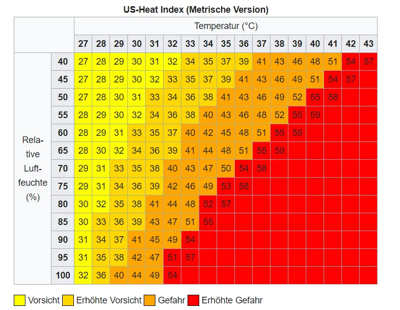 Meerschweinchen in einer Transportbox, bereit für den sicheren Transport im klimatisierten Auto