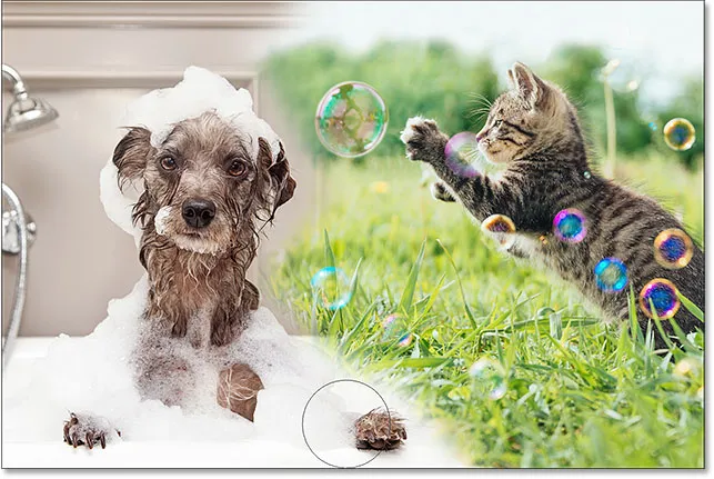 Mehr vom oberen Bild wegmalen.