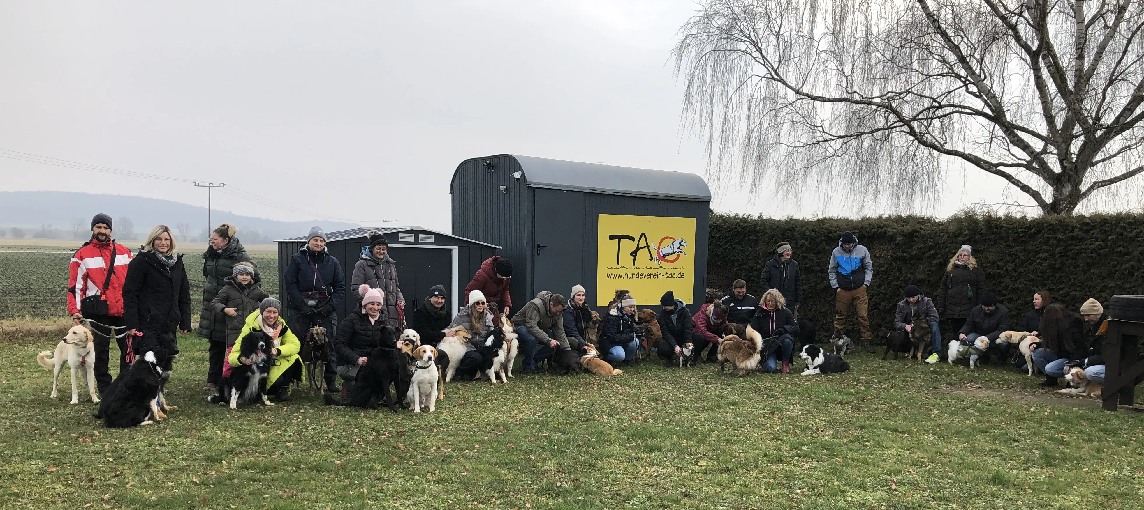 Mehrere Hunde und ihre Besitzer spazieren gemeinsam auf einem Feldweg bei einem Social Walk.