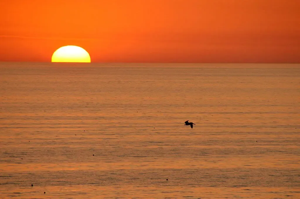 Mein Foto eines Florida-Sonnenuntergangs