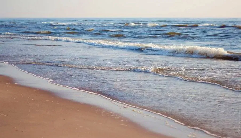 Mein Frühling-Foto von Myrtle Beach