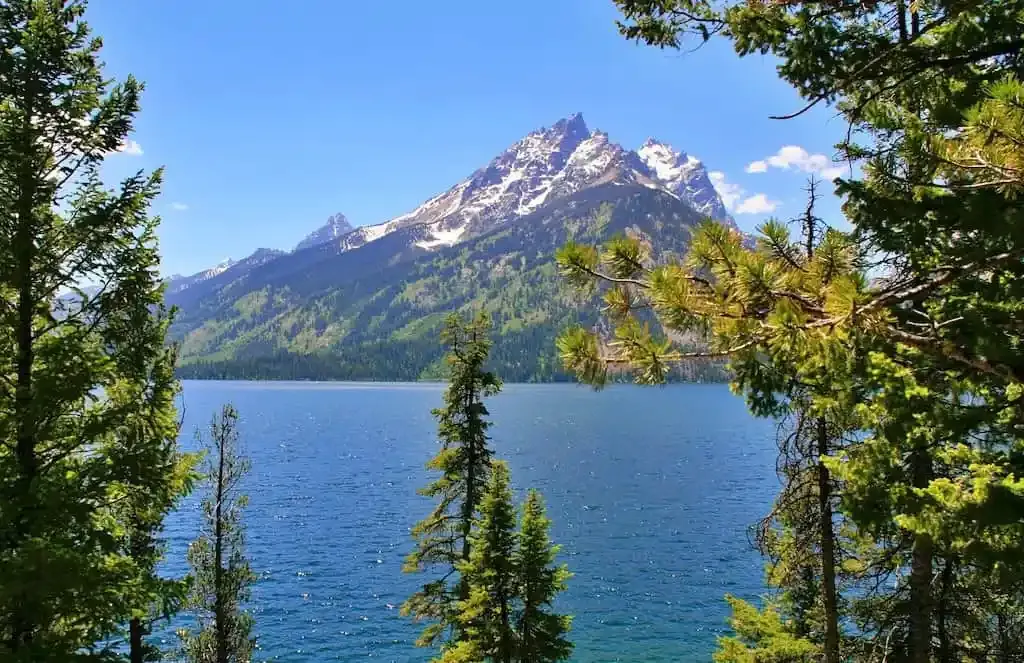 Mein Schnappschuss des Grand Teton National Parks im Frühling