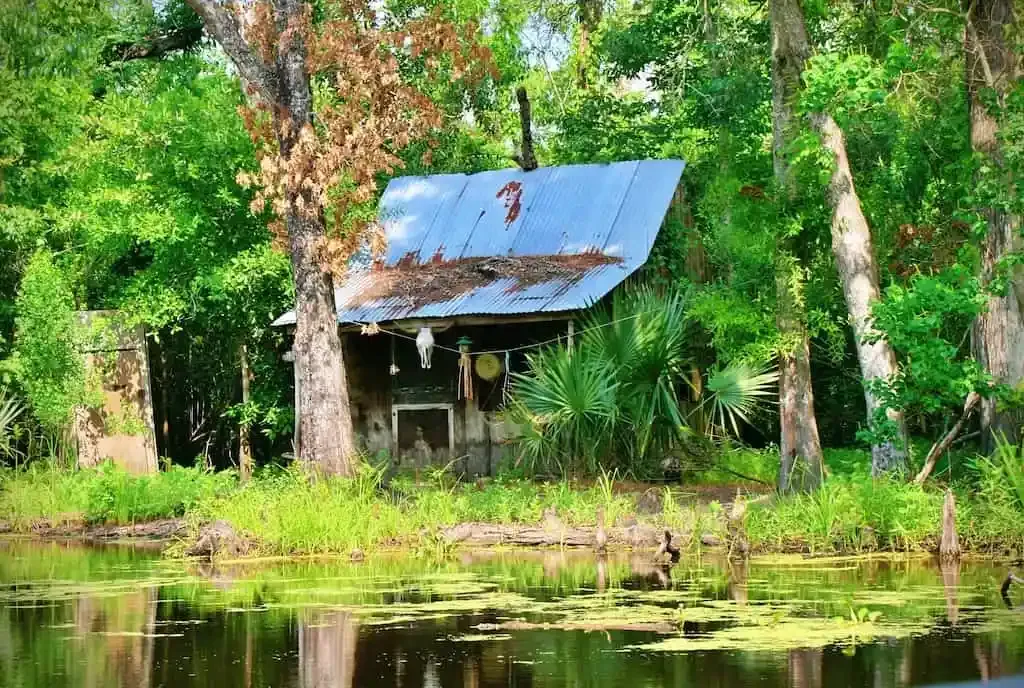 Mein Schnappschuss einer Sumpf-Hütte in Caddo Lake