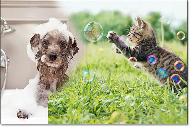 Mit Schwarz auf der Ebenenmaske malen, um Teile des Bildes auszublenden.