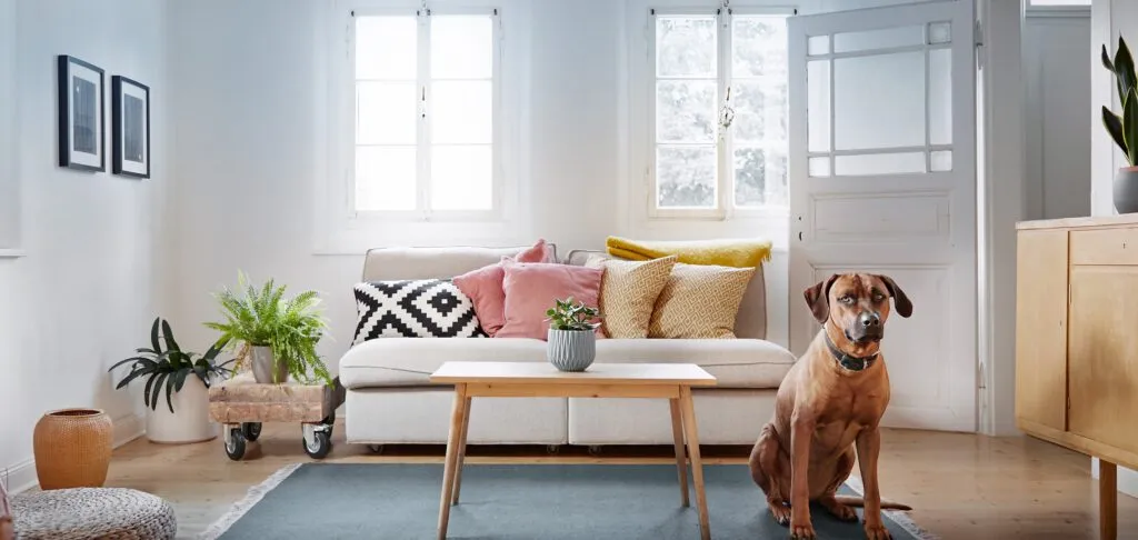 Modellhaus und Baupläne auf einem Tisch als Symbol für Baufinanzierung