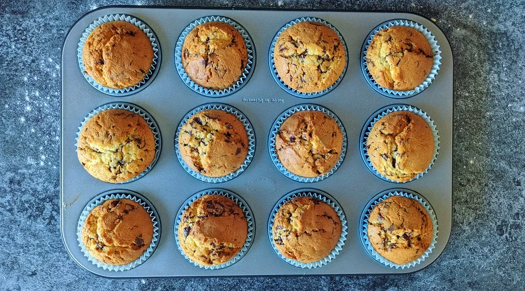 Muffins mit Schokostückchen in Papierförmchen im Muffinblech