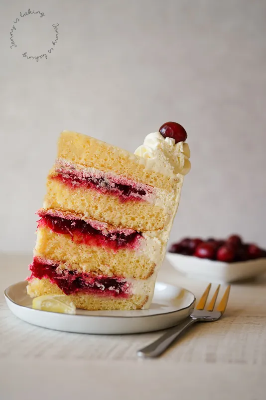 Nahaufnahme einer fertig geschichteten Torte mit Creme und Cranberries