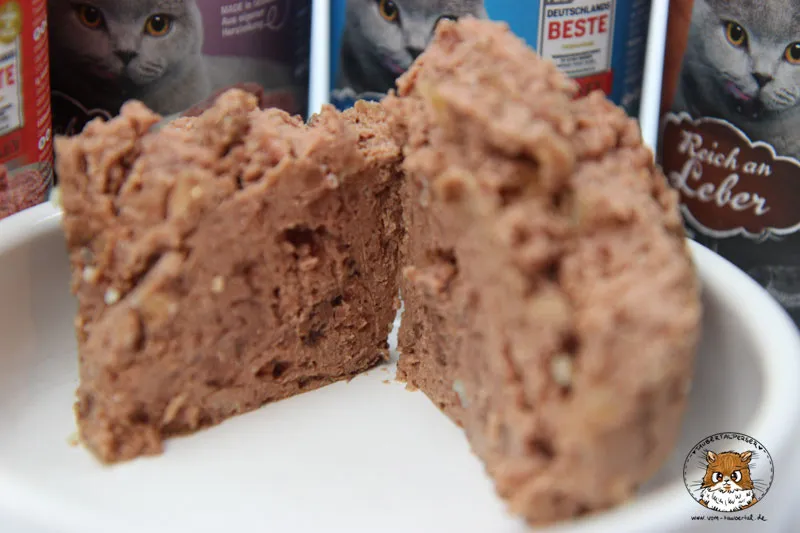 Nahaufnahme einer Katze, die eine Schale Leonardo All Meat Katzenfutter frisst