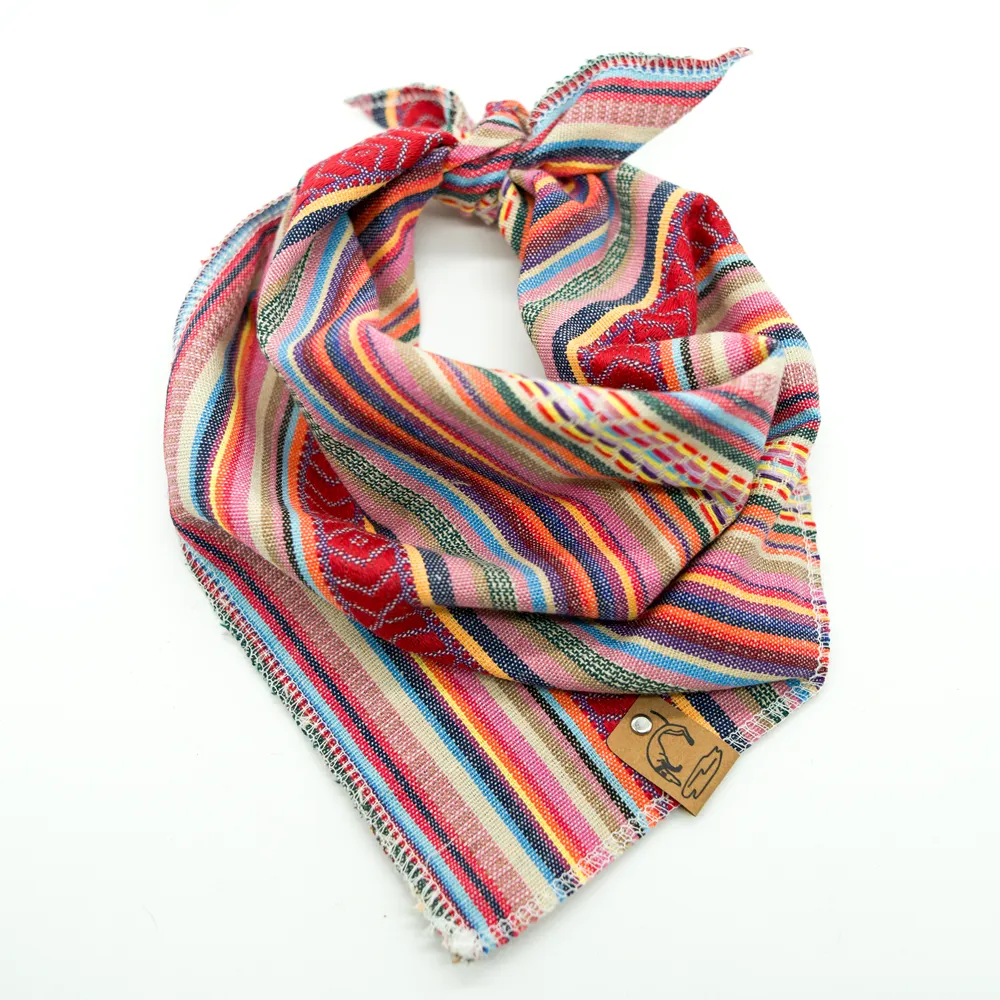 Nahaufnahme eines Hundes mit einem floral gemusterten Halstuch.