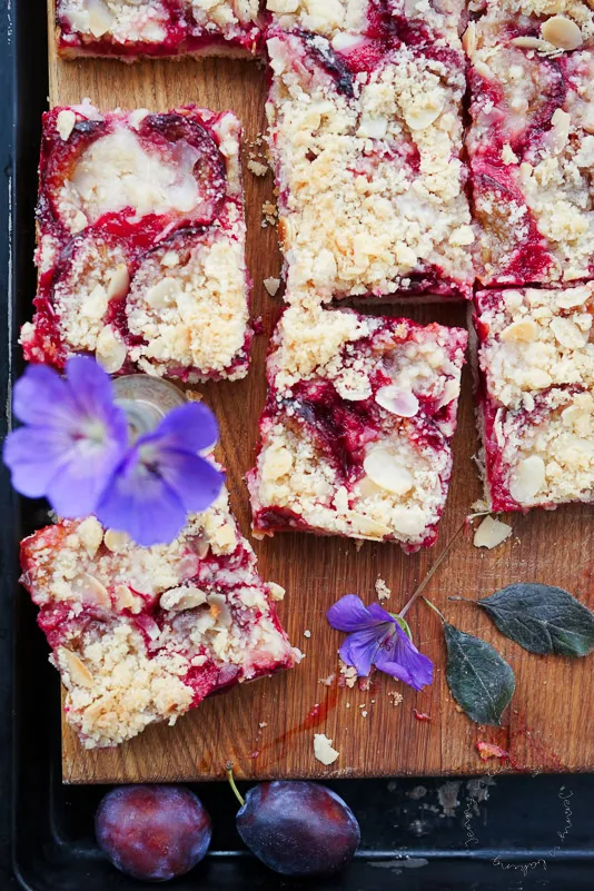 Nahaufnahme eines Zwetschgendatschi mit Quark-Öl-Teig auf dem Backblech