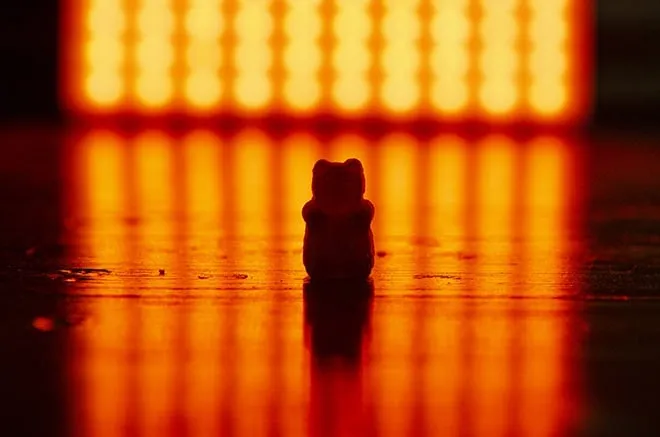 Nahaufnahme von selbstgemachten Gummibärchen, die ihre perfekte Konsistenz zeigen