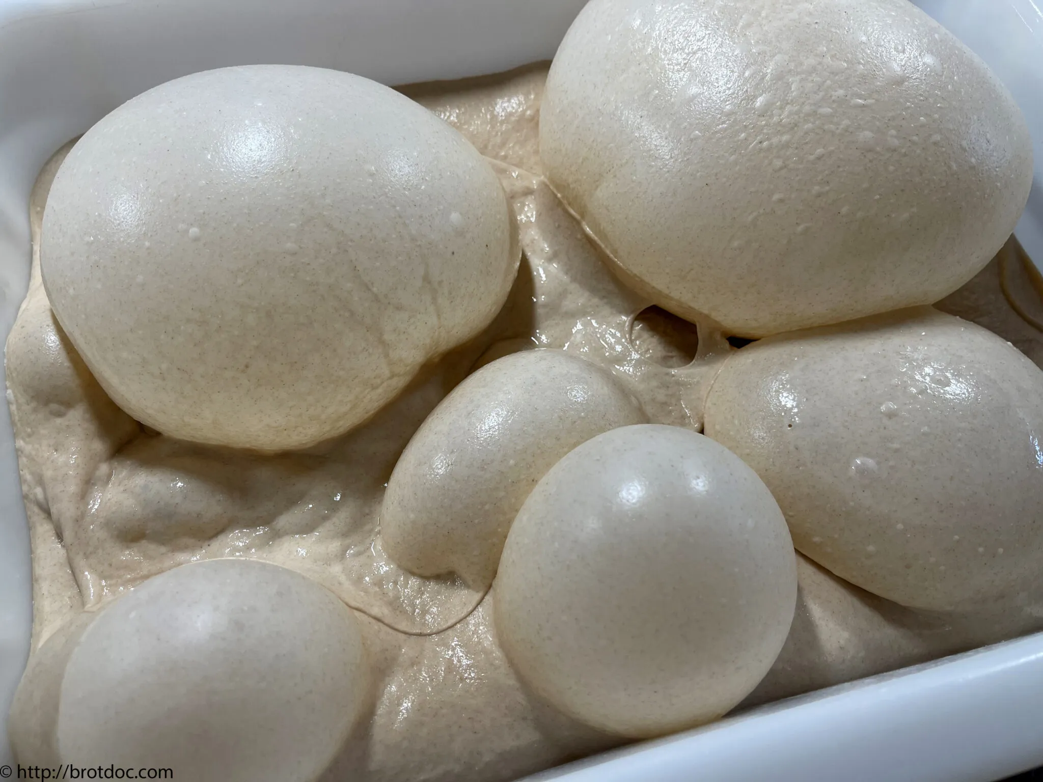 Nahaufnahme von spektakulären Blasen auf der Oberfläche des langen, kalt geführten Fladenbrotteigs