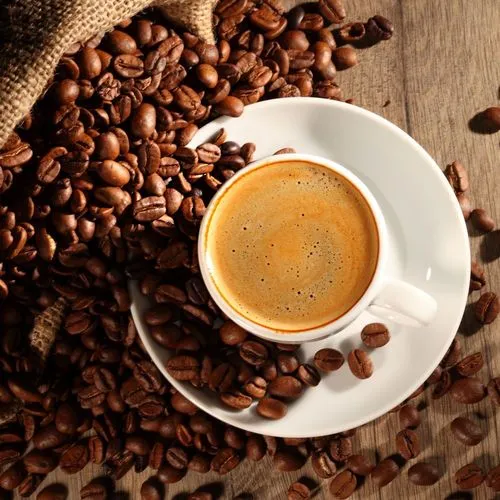 NIVONA NICR 859 Kaffeegenuss Szene