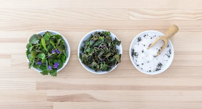 Normales Speisesalz in einem Holzlöffel und frische grüne Kräuter daneben