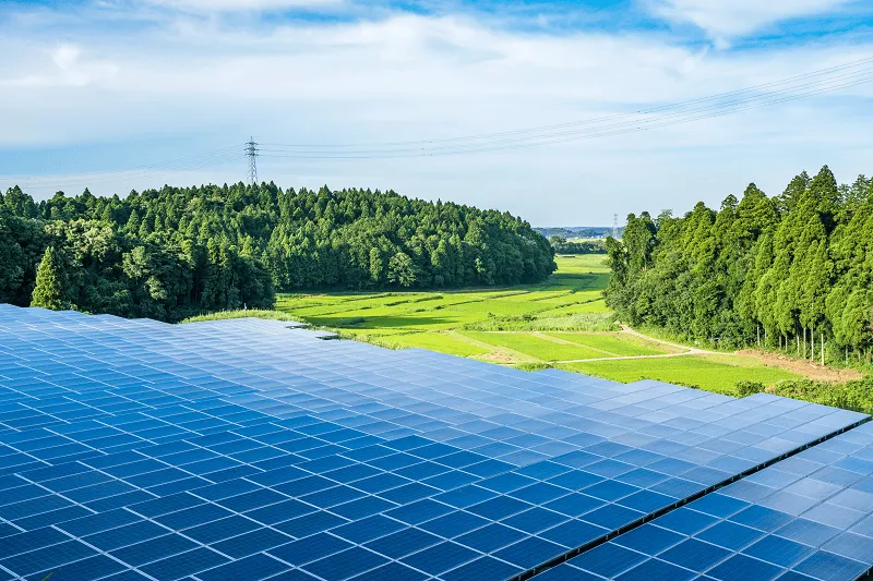 Ökobilanz von Photovoltaik: PV-Freiflächenanlage vor Wald und blauem Himmel
