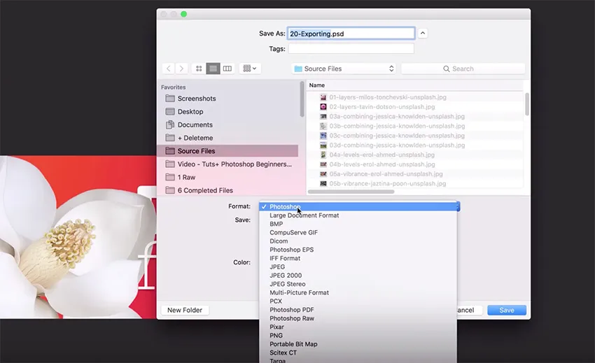 Optionen für den Export von Bildern in Photoshop