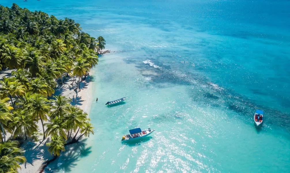 Palmen am karibischen Strand mit türkisblauem Wasser in der Dominikanischen Republik