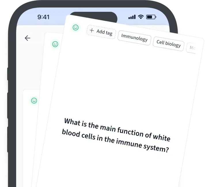 Passiv Englisch Karteikarten