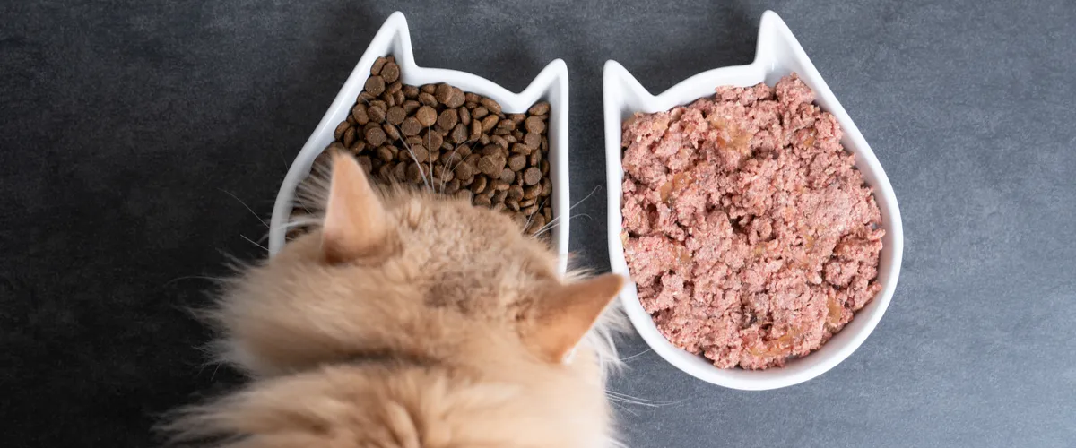 perfect fit katzenfutter sensitiv