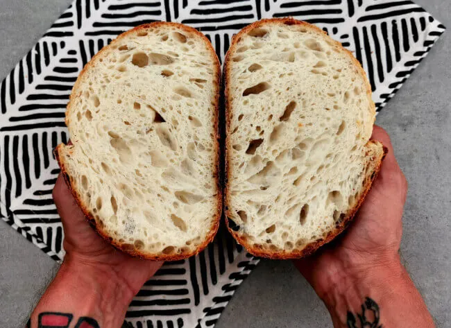 Perfekt durchgebackene Krume eines Sauerteigbrots mit offener und gleichmäßiger Porenstruktur