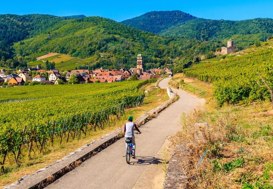 Petite Venise in Colmar