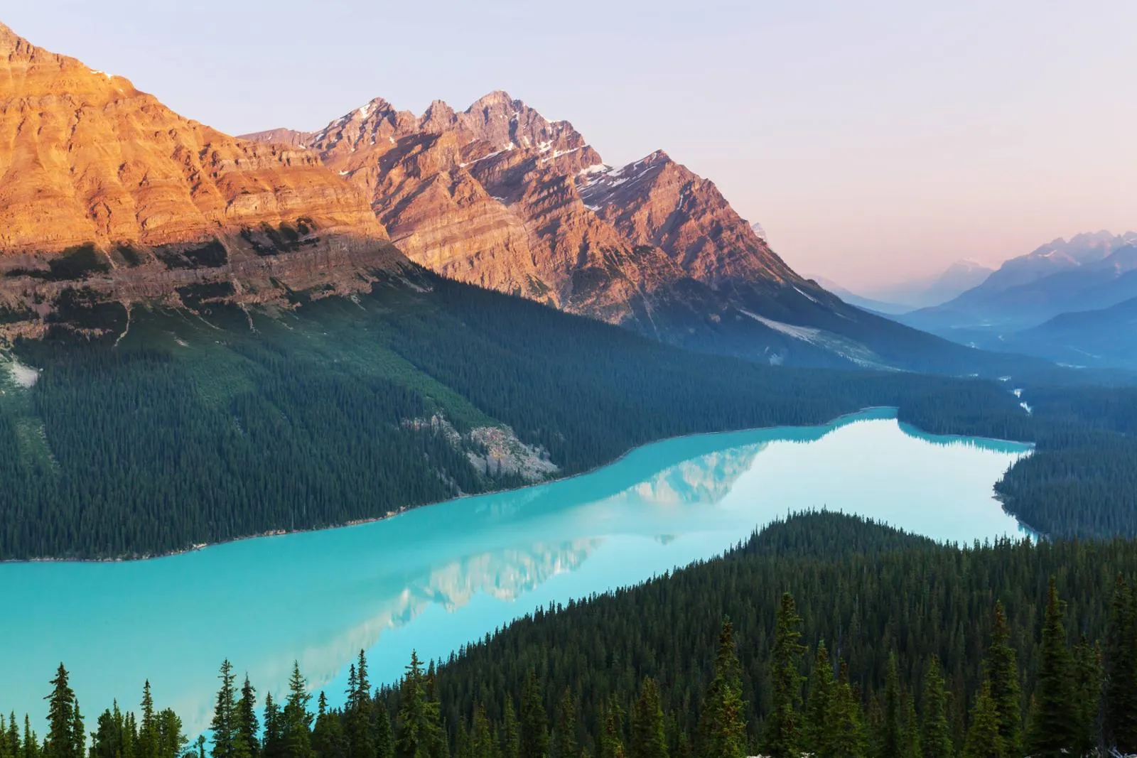Peyto Lake im Banff Nationalpark in Kanada, umgeben von schneebedeckten Bergen