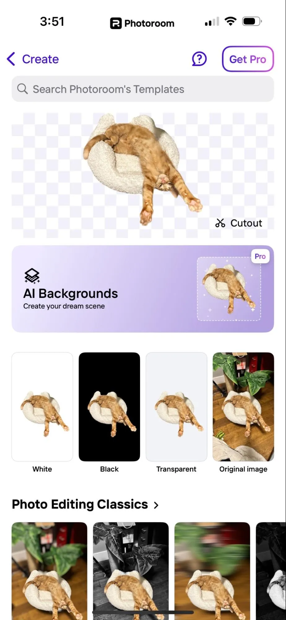 Photoroom erleichtert die Erstellung von Produktbildern mit Hintergrundwechsel.