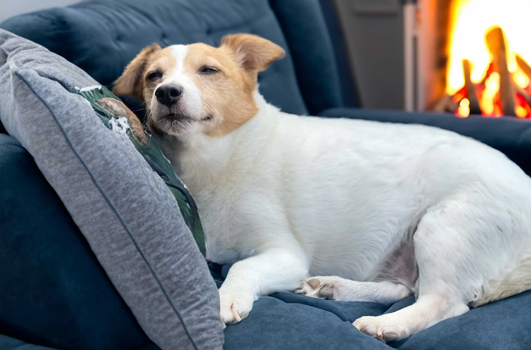 Photoshop KI Kompositionsergebnis