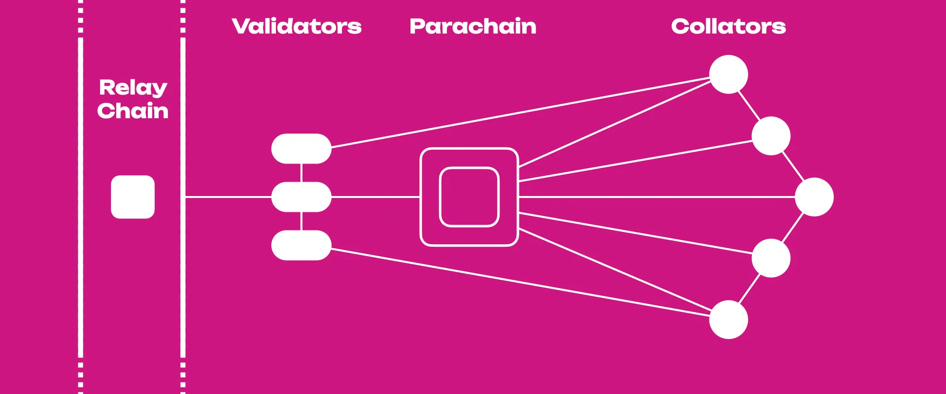 Polkadot Parachains, die spezialisierten Blockchains im Netzwerk