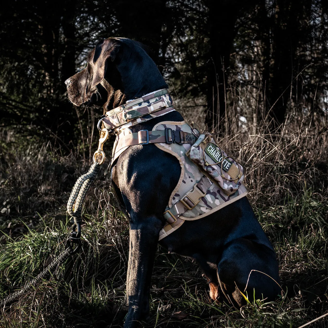 Praktische Zusatztaschen am K9 Geschirr befestigt für mehr Stauraum