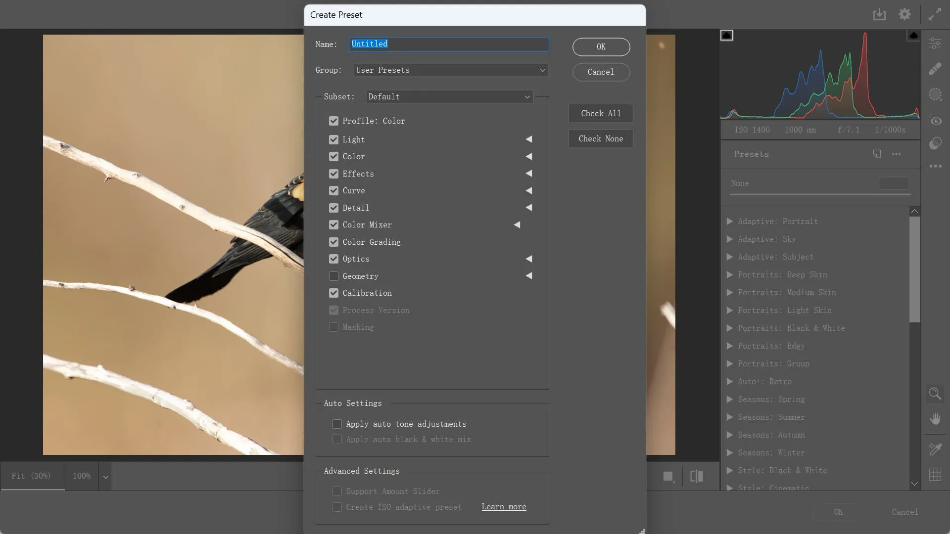 Preset in Camera Raw erstellen