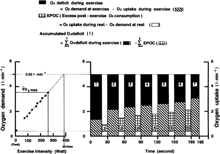 Prinzip zur Berechnung des akkumulierten Sauerstoffdefizits bei hochintensivem intermittierendem Training.