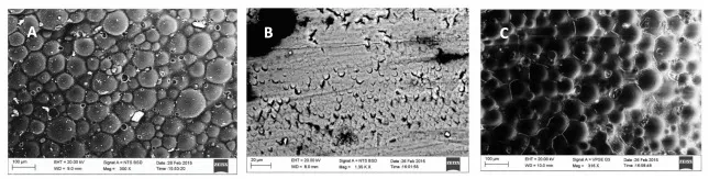 Rasterelektronenmikroskopische Bilder: A) Normale Schmelzoberfläche; B) Demineralisierter Schmelz; C) Mit P11-4 behandelter Schmelz nach Demineralisierung.
