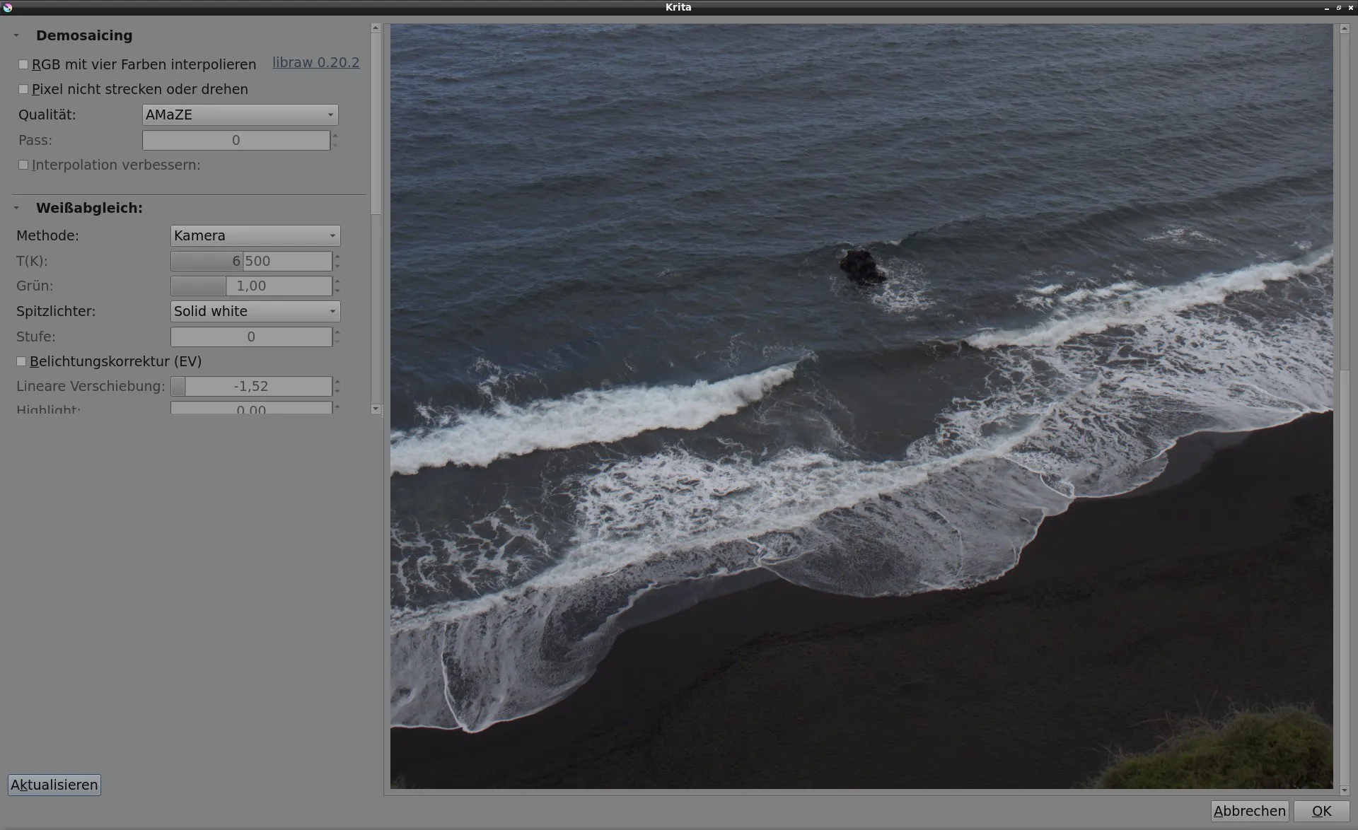 RAW-Import-Dialog in Krita