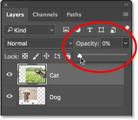 Reduzierung der Deckkraft der obersten Ebene auf 0%.