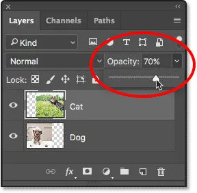 Reduzierung der Deckkraft der obersten Ebene auf 70 Prozent.