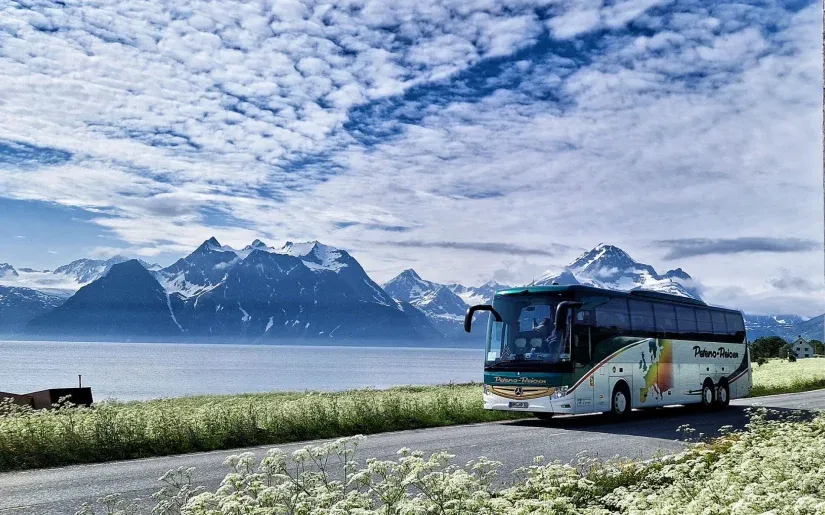 Reisebusse von Peters-Reisen stehen auf einem Parkplatz vor einem Gebäude