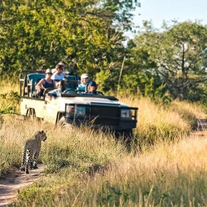 Safari im Jeep im Kruger Nationalpark
