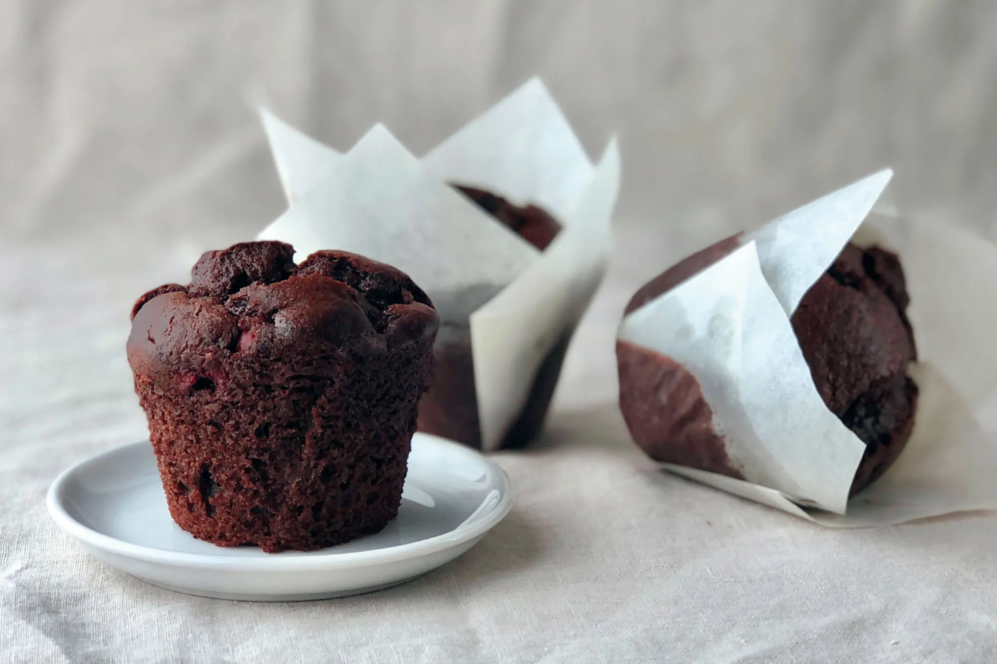Saftige Schoko-Kirsch Muffins, frisch gebacken und ansprechend angerichtet