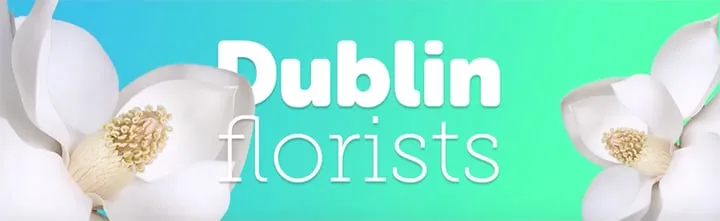 Schnellauswahlwerkzeug in Aktion