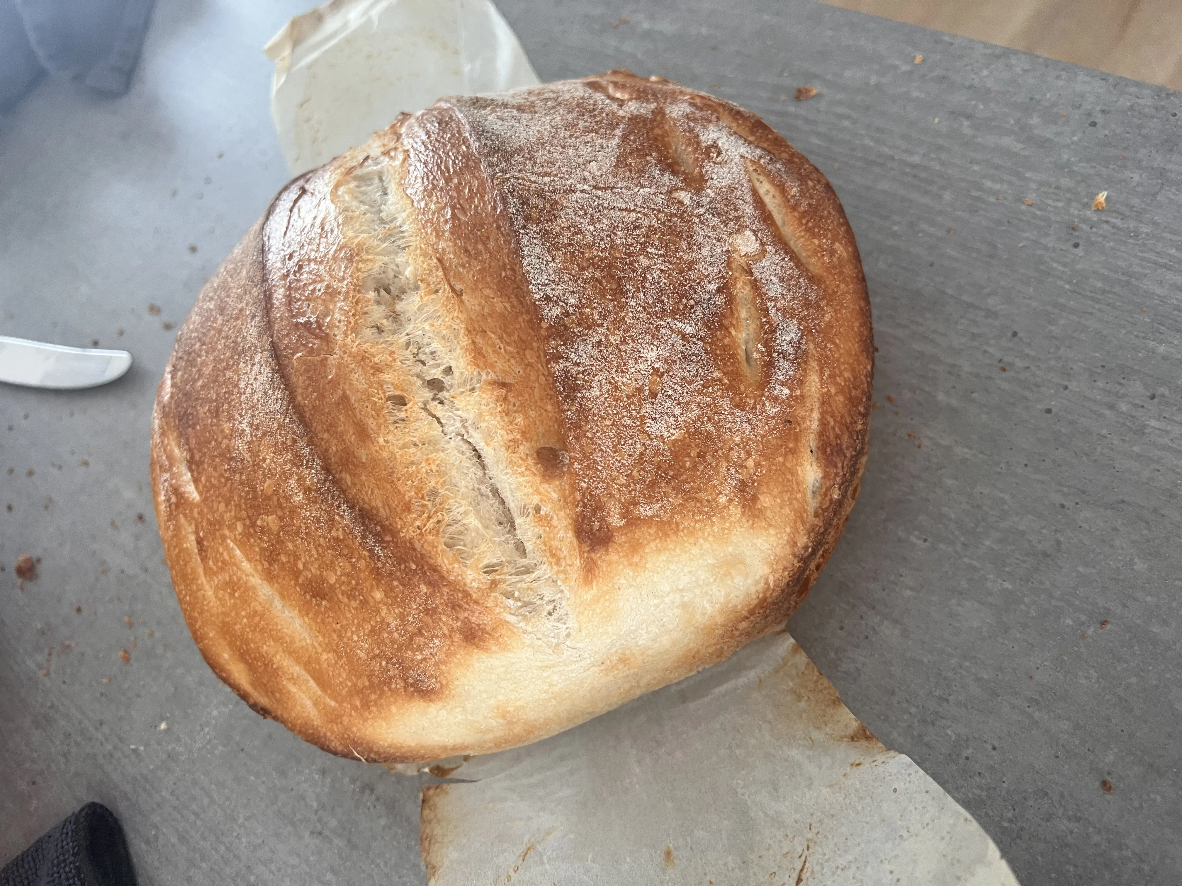 Schnittbild eines lockeren Brotes mit großen Poren, frisch gebacken