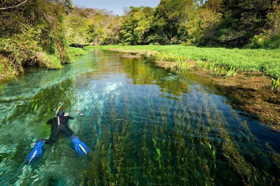 Schnorcheln in Bonito, Brasilien, in den kristallklaren Gewässern des Rio da Prata