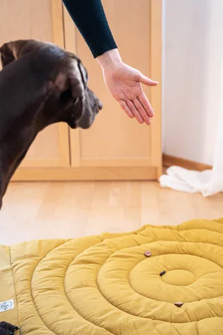 Schritt 3: Kommando und Handzeichen aufbauen.