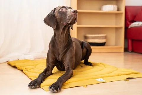 Schritt 4: Kommando "Platz" integrieren.