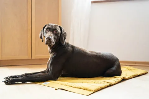 Schritt 5: Mit Distanz auf die Decke schicken.