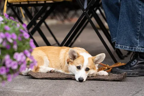 Schritt 7: An verschiedenen Orten üben.