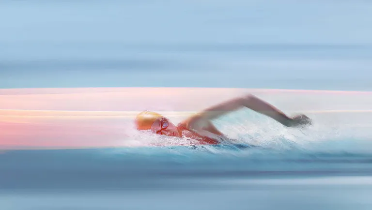 Schwimm-WM 2025: Athleten im Becken während eines Wettkampfs, Copyright: ZDF