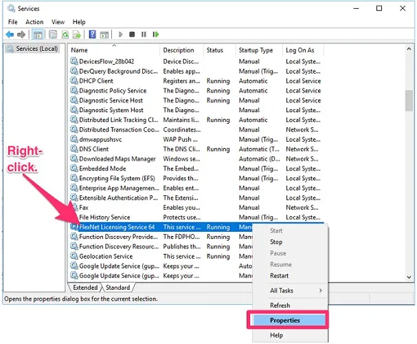 Screenshot der Eigenschaften des FlexNet Licensing Service 64